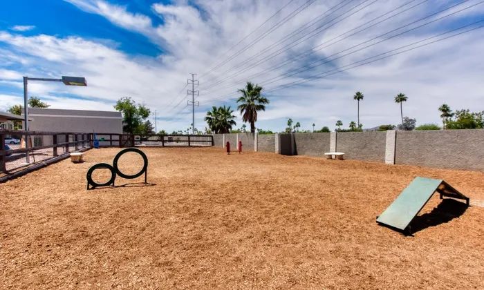 dog park