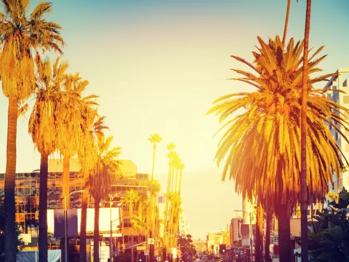 City Street with Palm Trees and Sunset in Back