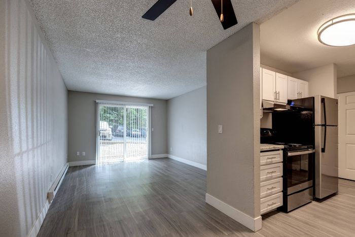 Living Room and Kitchen