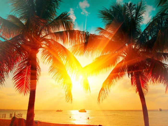 Sunset with 2 Palm Trees