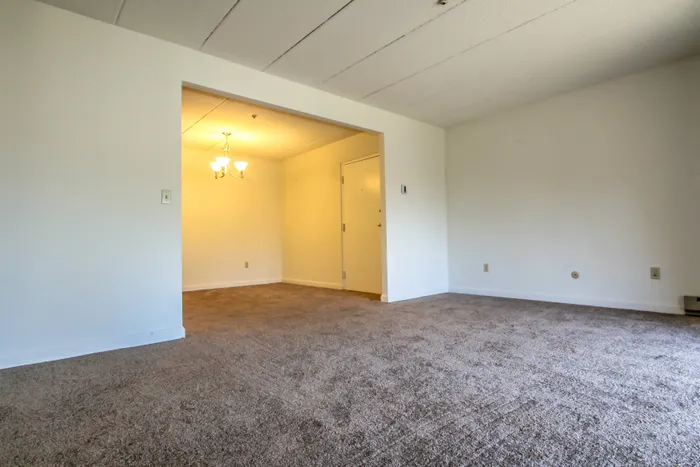 Classic living area, lookin out toward the dining area