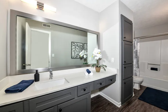 Renovated bathroom in a 3 bedroom apartment in Alpharetta, GA.