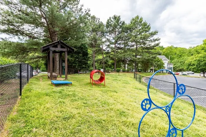 Spacious Dog Park