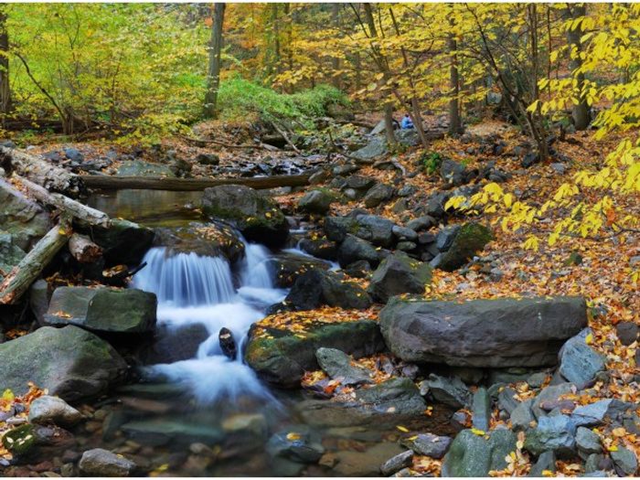 Waterfall + Creek