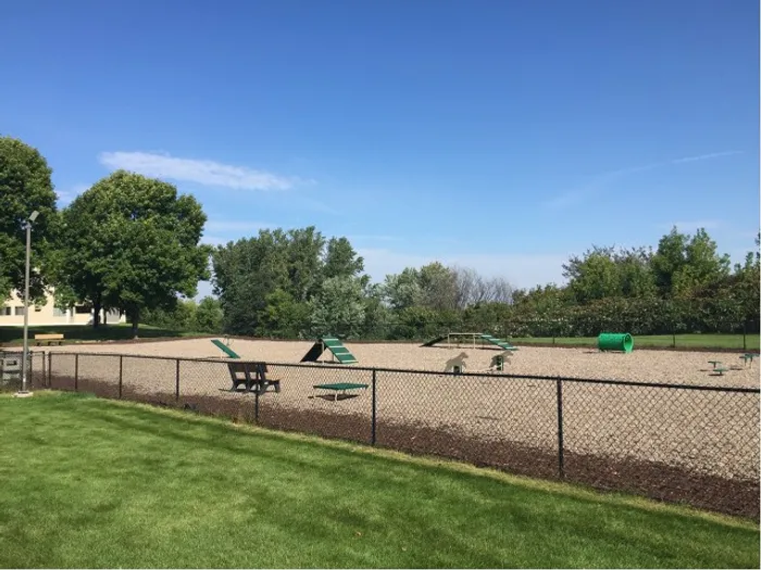 Dog Park