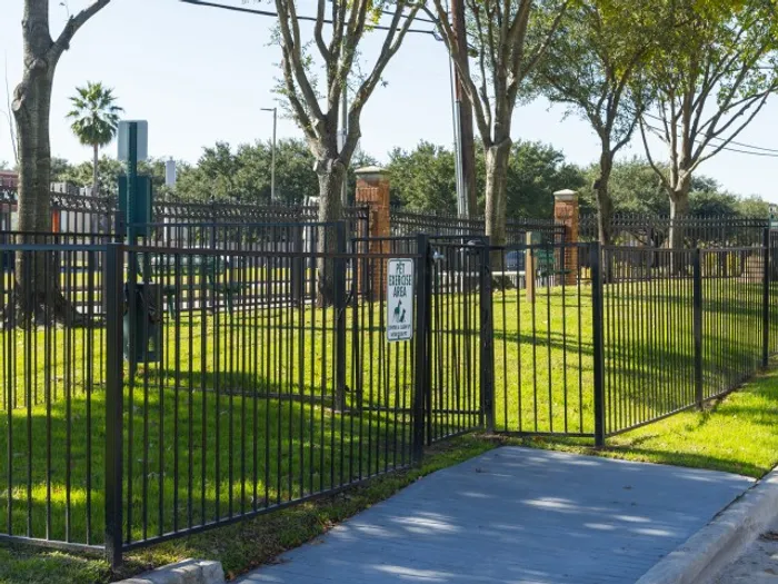 Dog Park