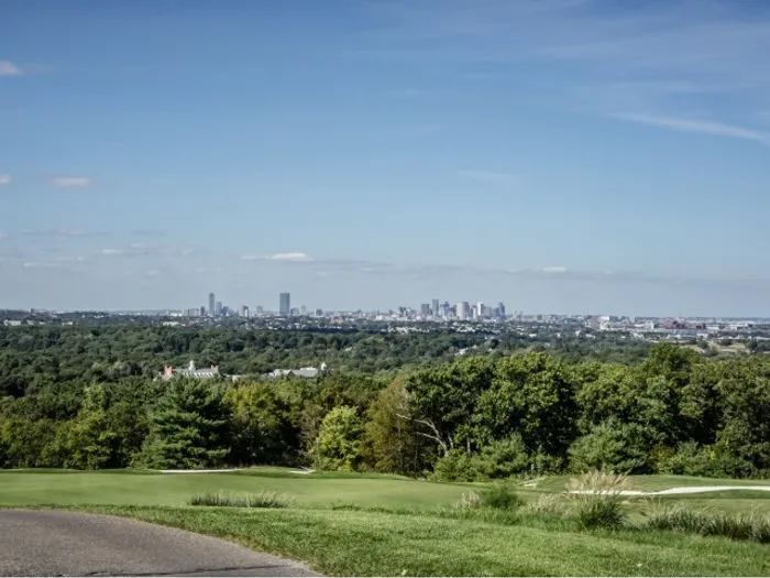 CIty Views