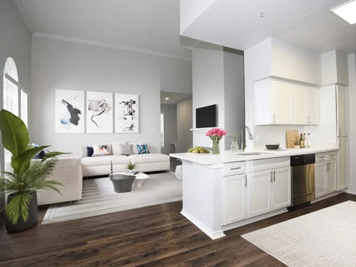 Kitchen & Living