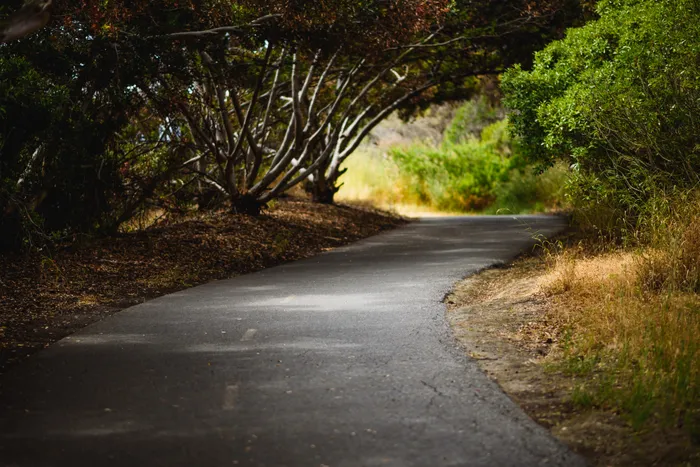 park trail