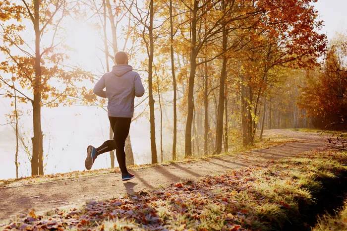 Person jogging along wooded path during sunrise