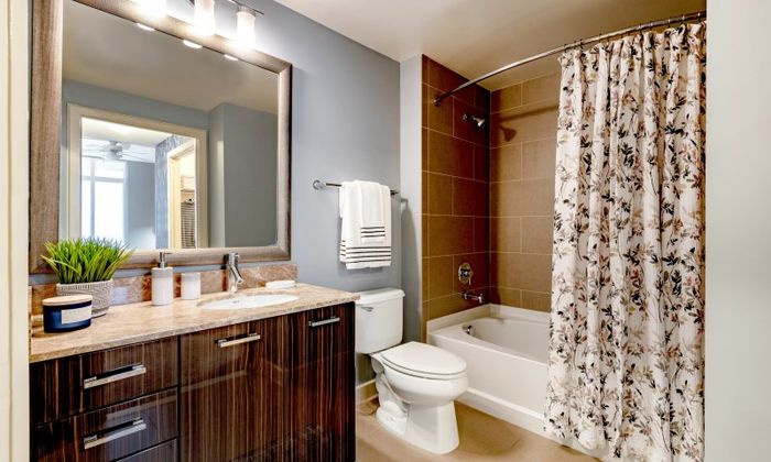 the cameron silver spring apartments bathroom