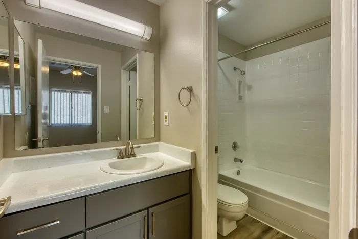 Reno Bathroom
