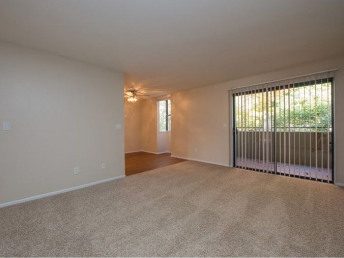 Living Room + Kitchen