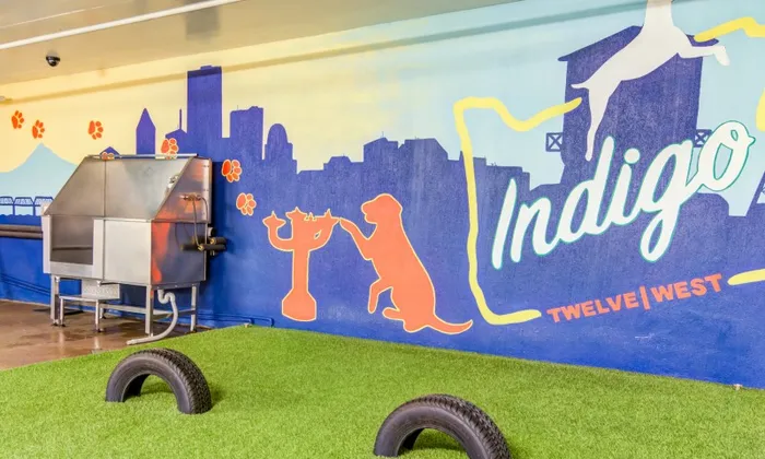 Indoor dog park and grooming station inside a downtown Portland apartment building.