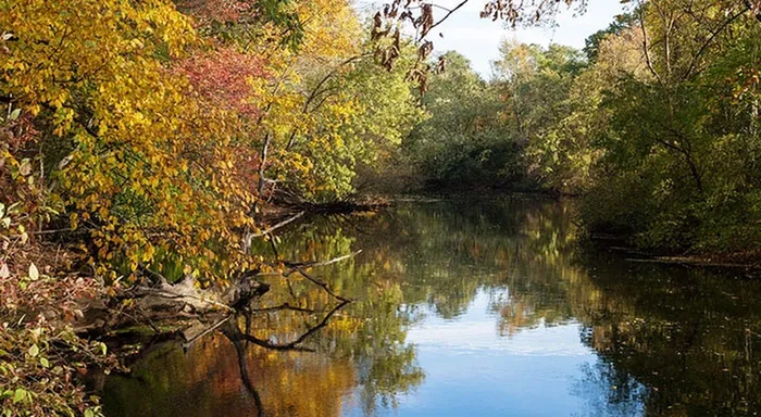 A lagoon near our apartments for rent in Watertown, MA, featuring trees with colorful autumn leaves, and blue sky.