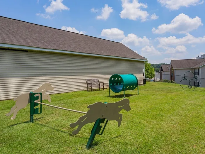 Outdoor enclosed dog park with agility courses and bench