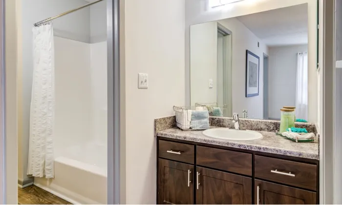 Bathroom in an Avana Woods apartment.