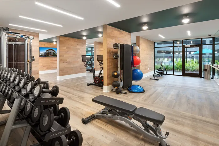 Fitness center free weights