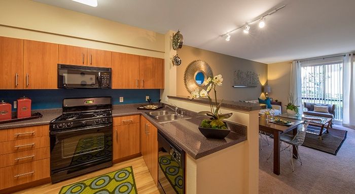 Kitchen + Living Room