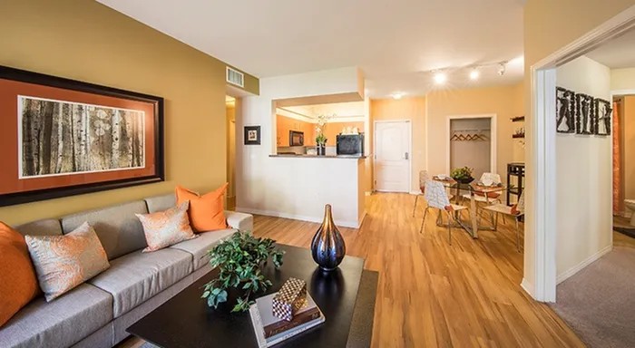 Living Room + Kitchen