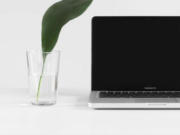 A leaf in a glass of water next to a computer at our apartments for rent in Washington DC, featuring a white backdrop.