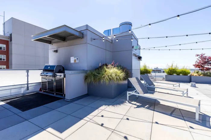 Rooftop Grills