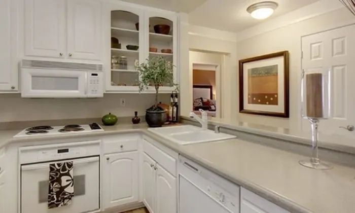 Classic Kitchen Image