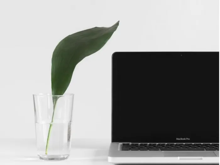 laptop to view a virtual tour on