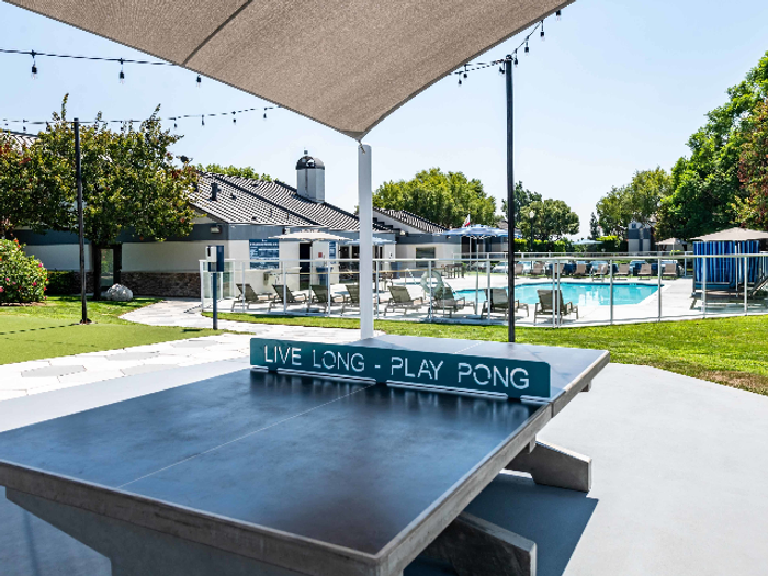 Ping Pong Table