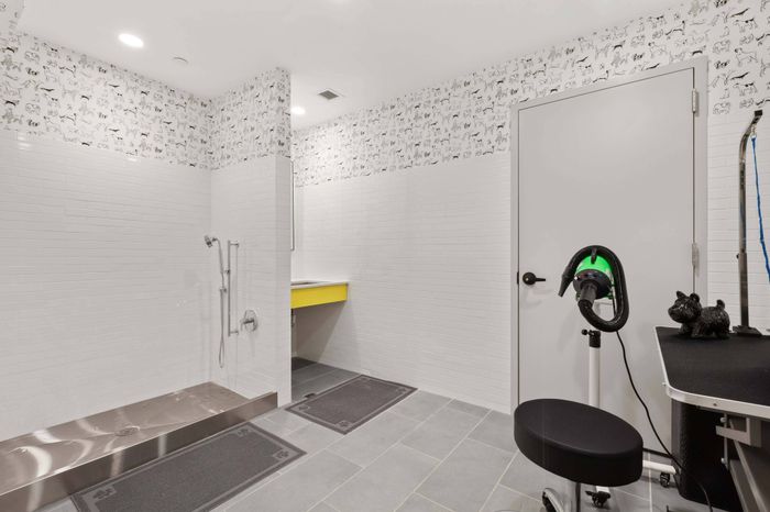 24-hour pet salon for cats and dogs