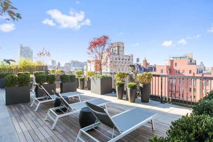 Garden terrace with lounge chairs