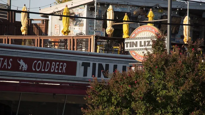 Tin Lizzards