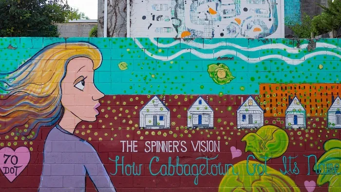 The Spinner's vision