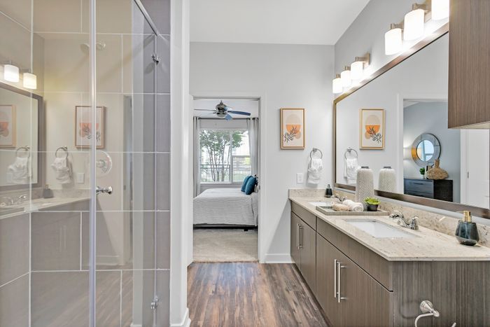 Bathroom counter top and view into walk-in shower