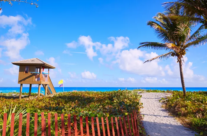 The beach near our apartments in Delray Beach, Florida, featuring a view of the dunes, bushes, and the ocean.