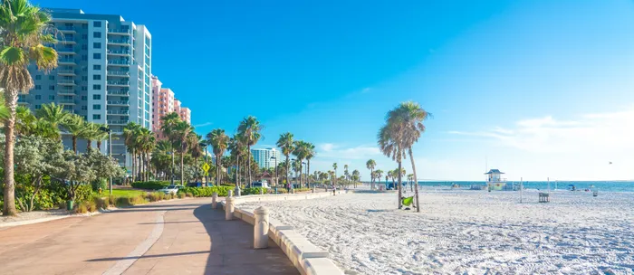The path along the beach near our apartments for rent in Clearwater, FL, featuring palm trees and a view of the ocean.