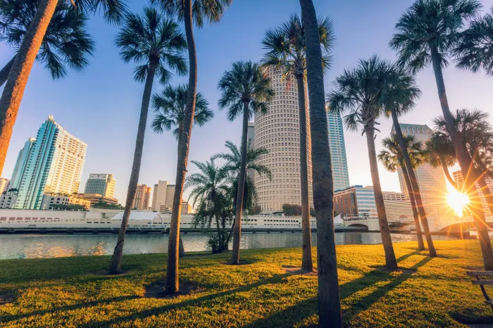 Waterside park near our apartments for rent in Clearwater, FL, featuring palm trees and the sun setting in the background.