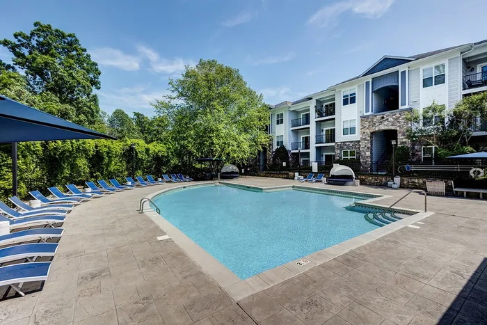 Pool and lounge seating surroundedby trees