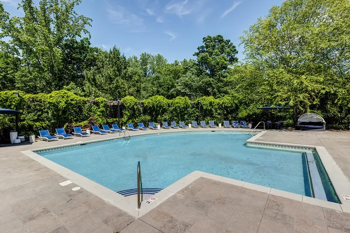 Pool and lounge seating surrounded by trees
