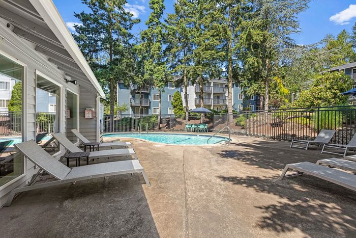 Swimming Pool with new furniture