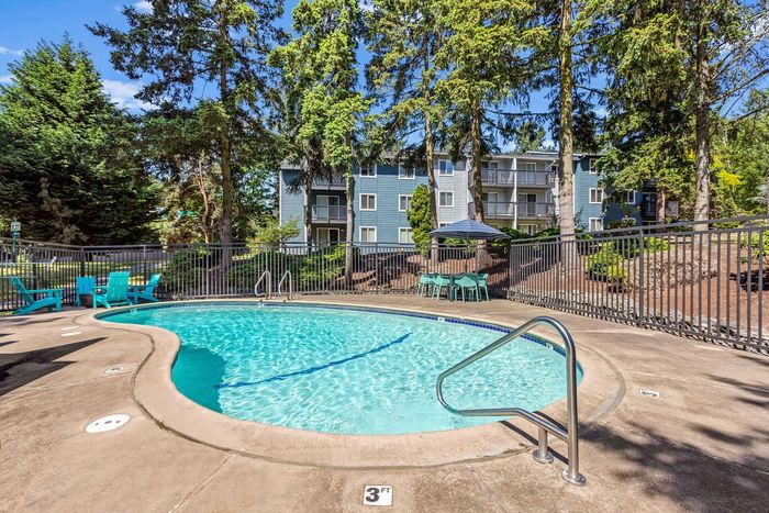 Swimming Pool with new furniture