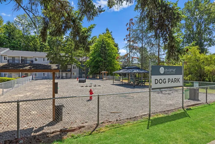 Dog Park