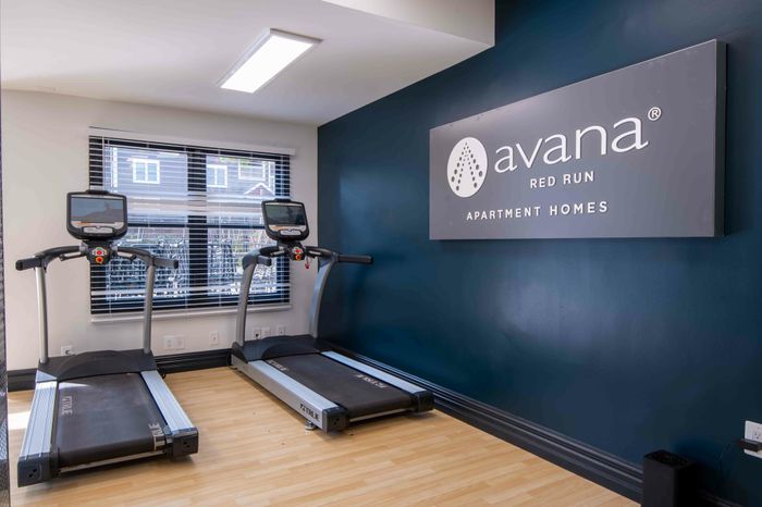 treadmills in the fitness center