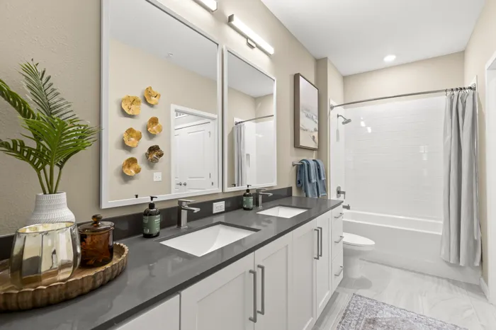 Double Vanity Sinks