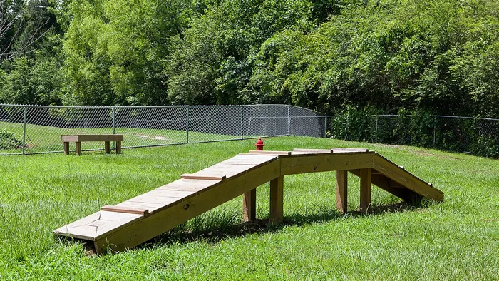 dog park