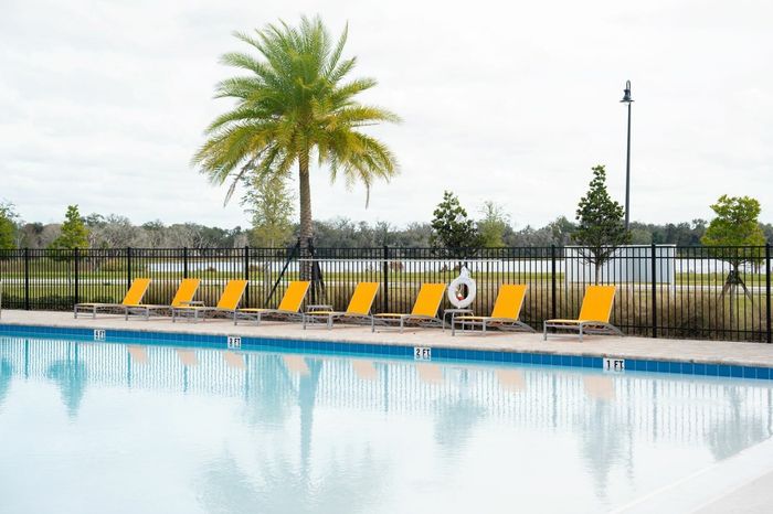 pool with orange lounge chairs