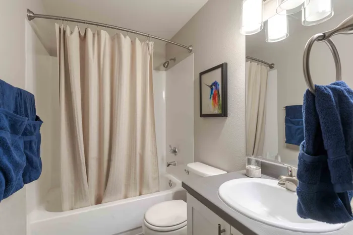 Model Bathroom