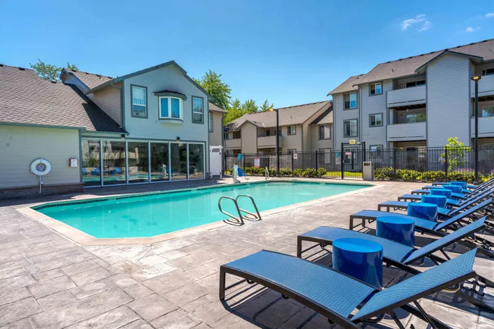 Pool  with navy chaise loungers