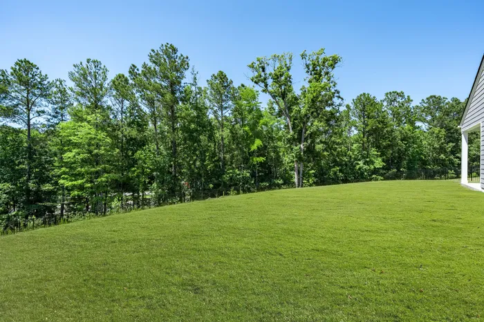 fenced back yard with green grass