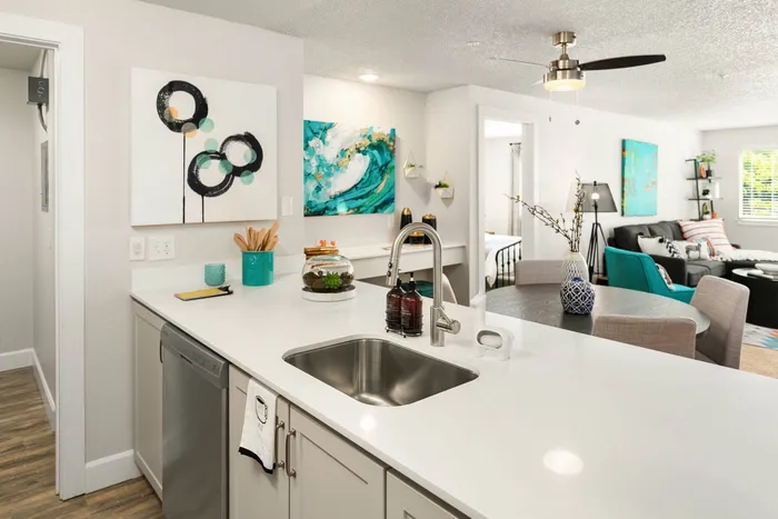 Kitchen counter